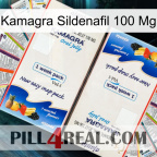 Kamagra Sildenafil 100Mg kamagra1